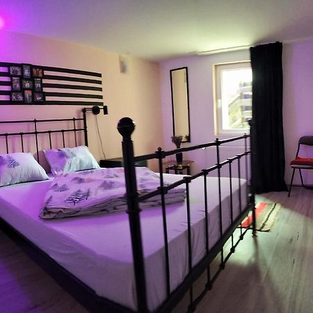 Apartmán Doi Iepuri Azuga Exteriér fotografie