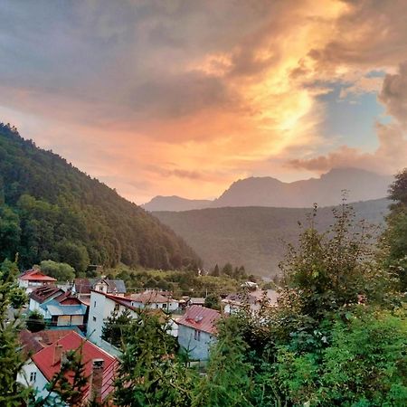 Apartmán Doi Iepuri Azuga Exteriér fotografie