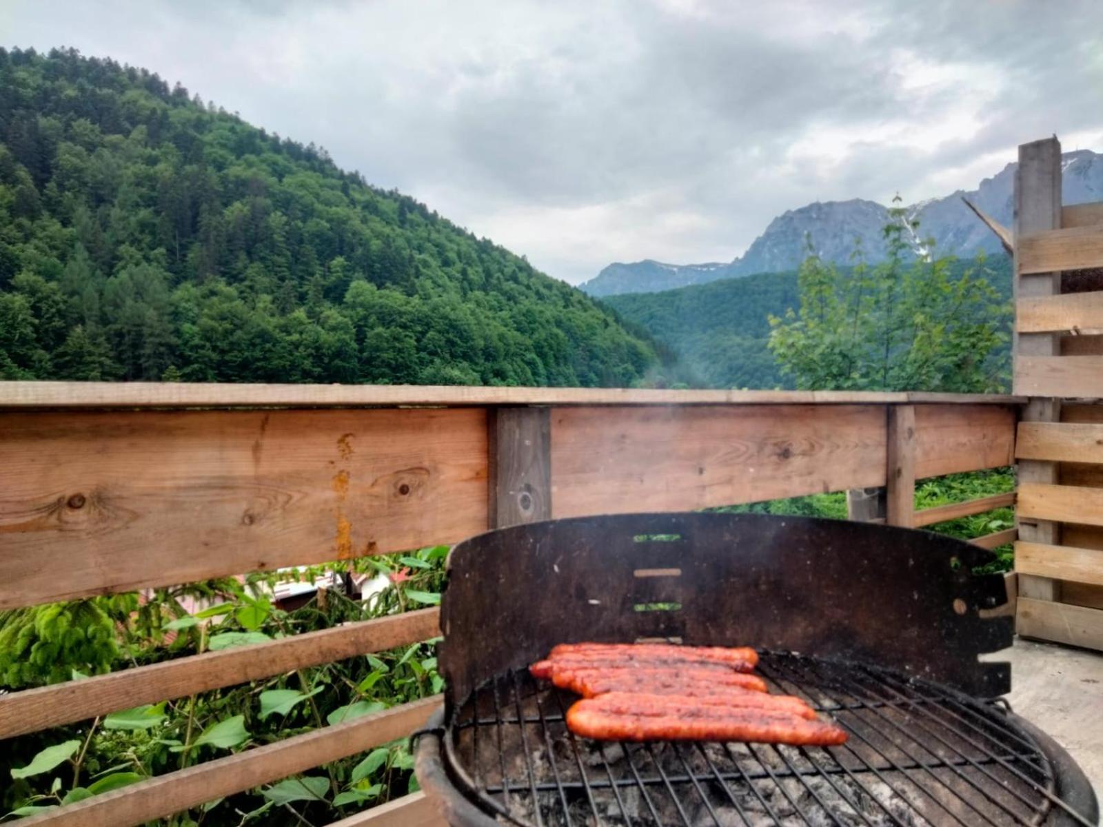 Apartmán Doi Iepuri Azuga Exteriér fotografie