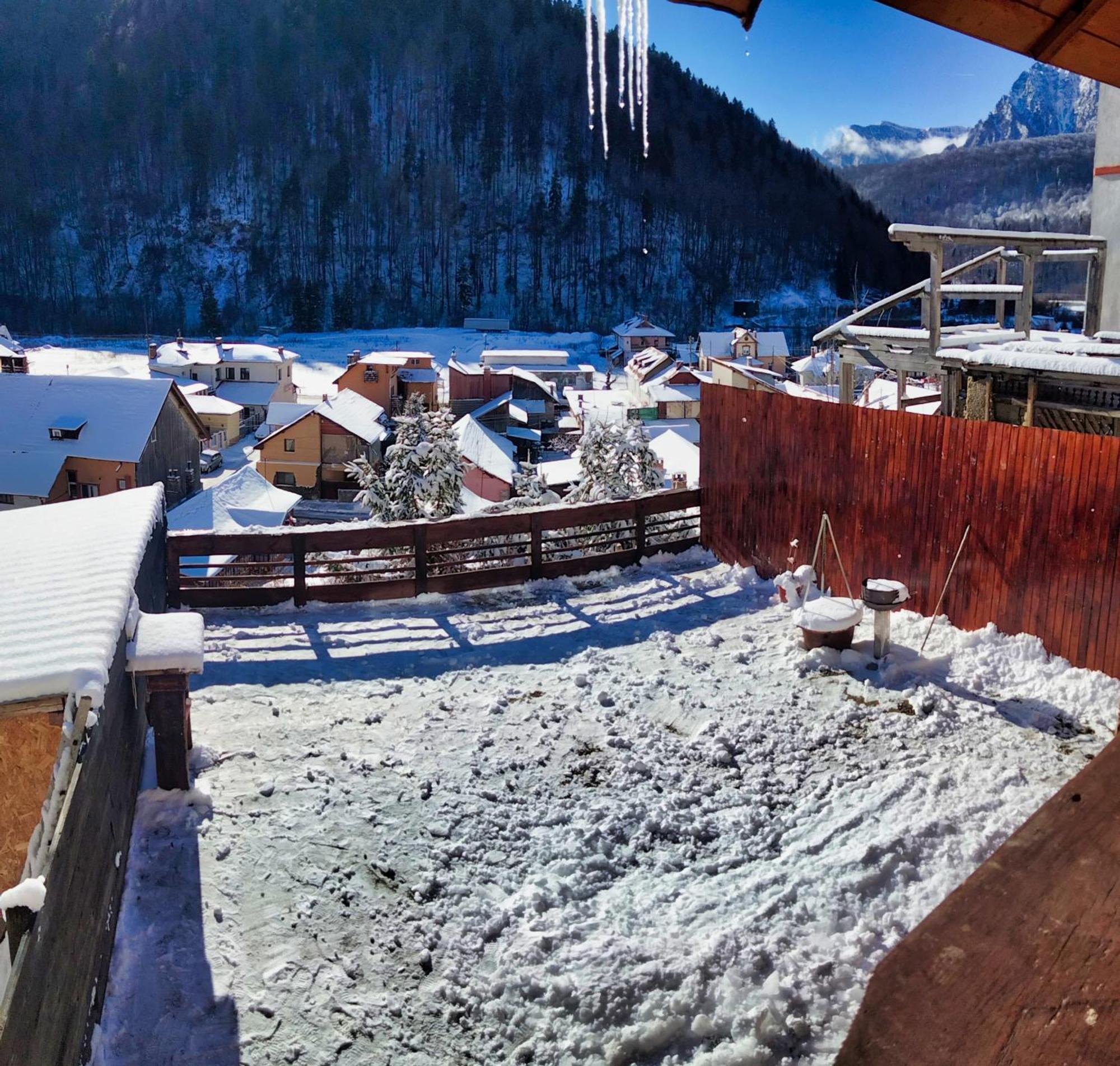 Apartmán Doi Iepuri Azuga Exteriér fotografie
