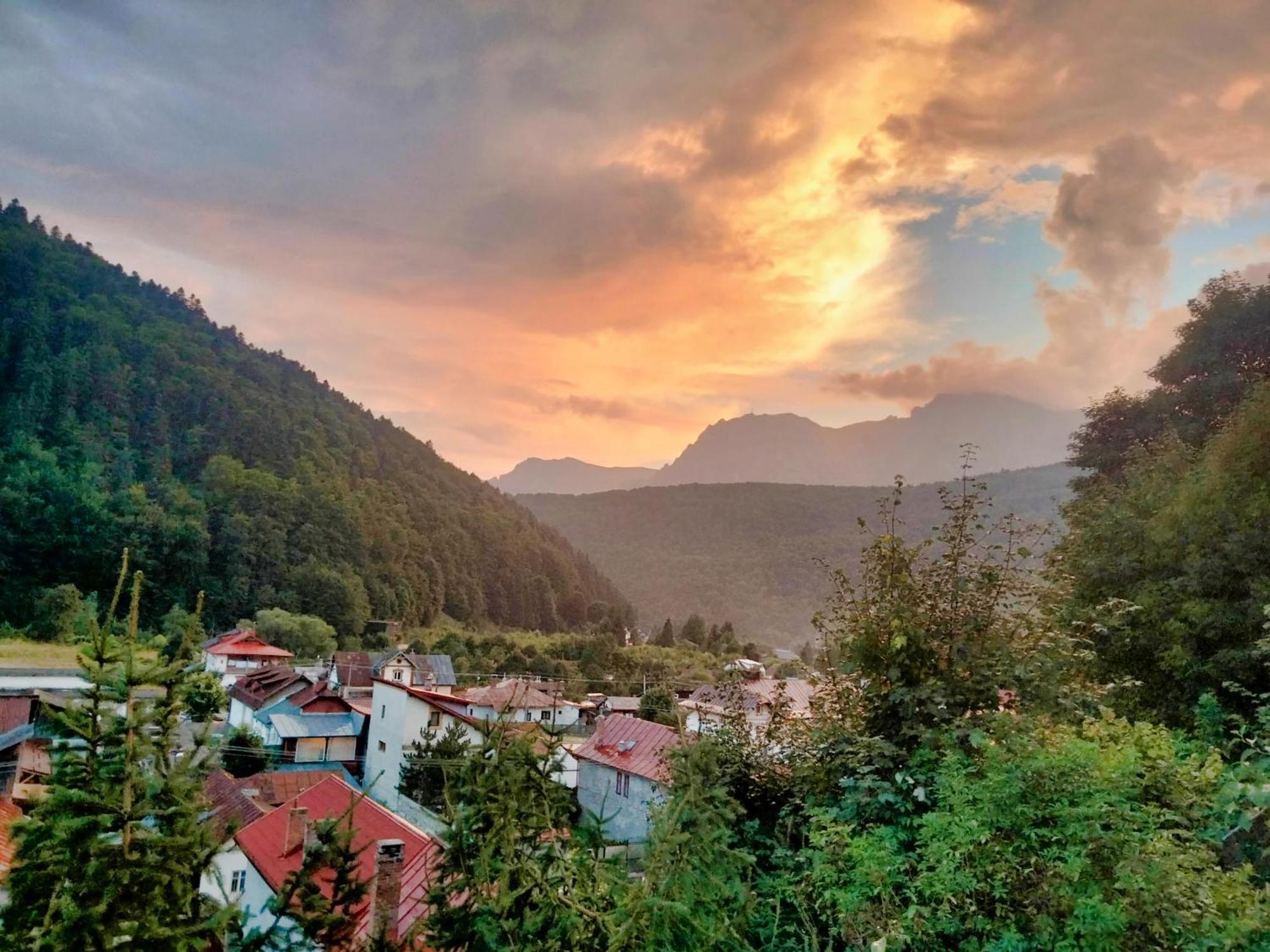 Apartmán Doi Iepuri Azuga Exteriér fotografie